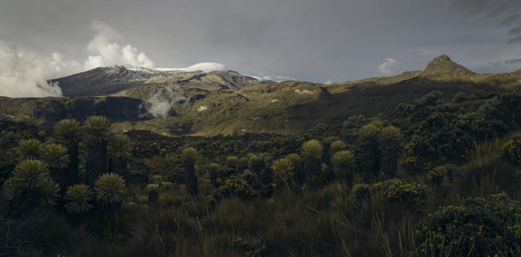 Ruiz Volcano & Cisne Peak, Colombia, 2013