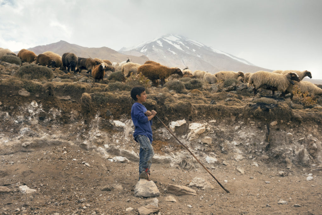 A young shepherd watches his sheep on the foothills of Mount Damavand.